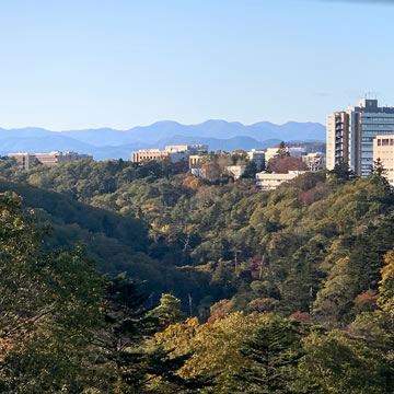 竜ノ口渓谷。仙台城の天然要害